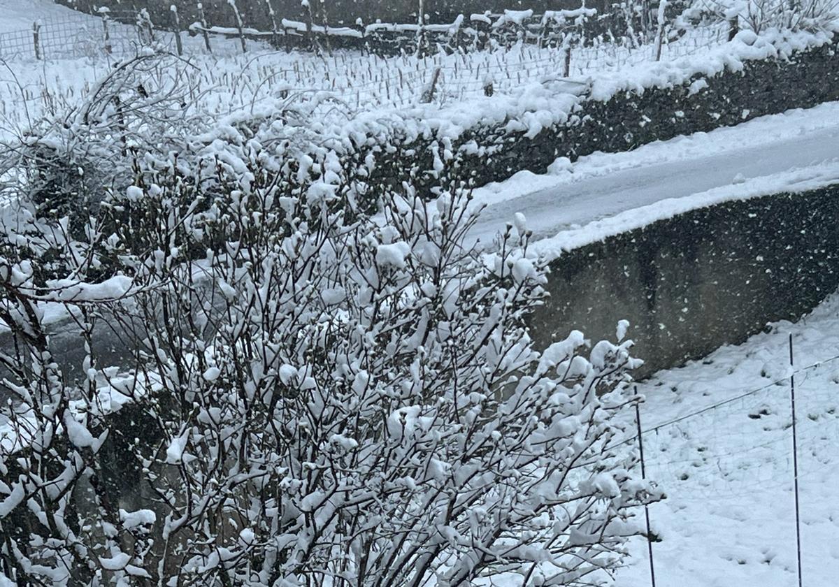 La nieve vuelve a la provincia de León