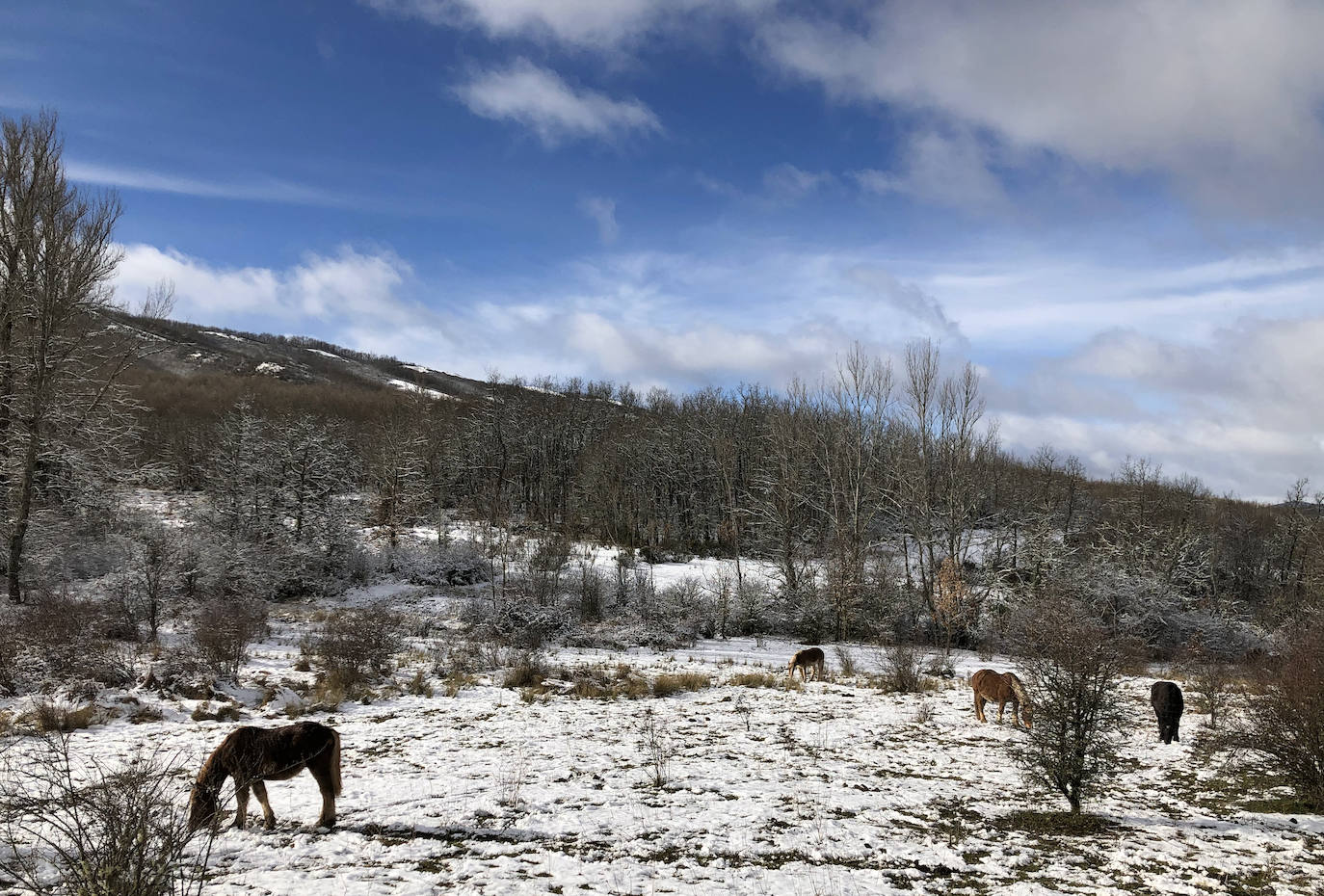Nieve en La Vecilla.