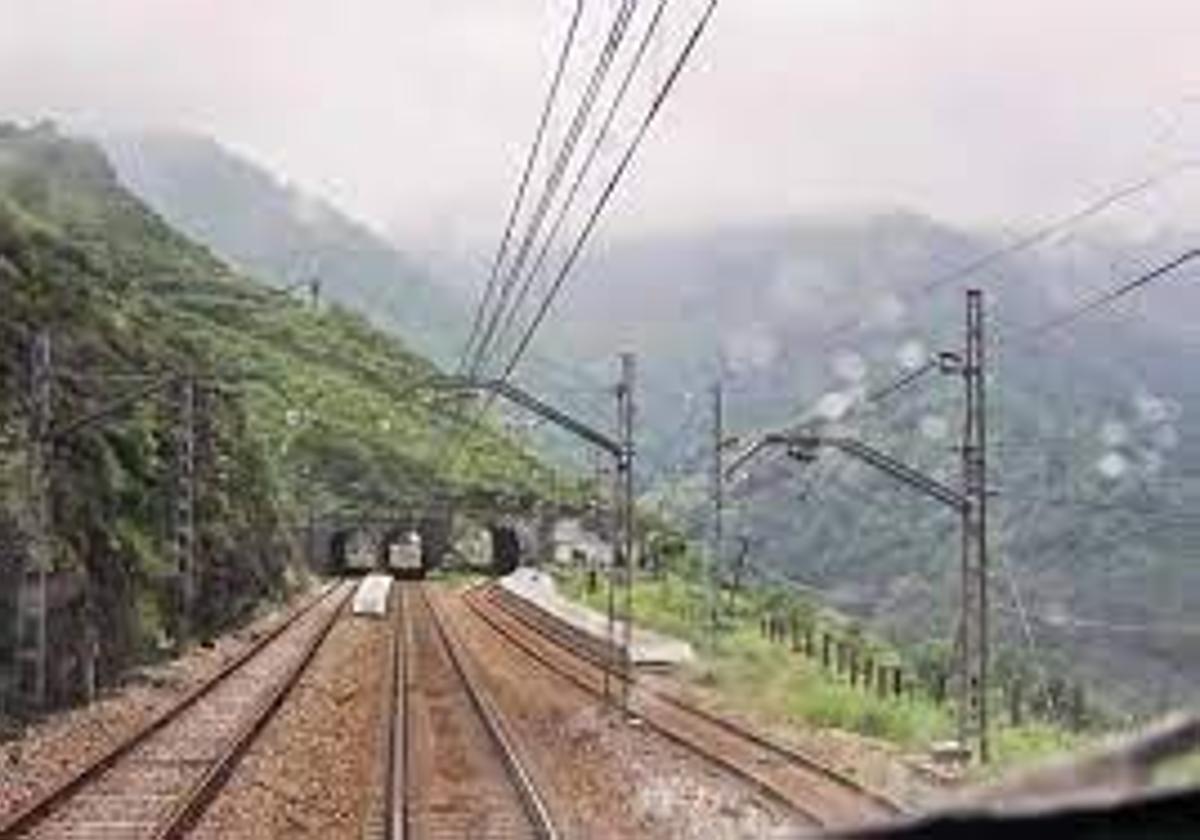 La Asociación Ferroviaria Reino de León viaja en el tren reivindicativo