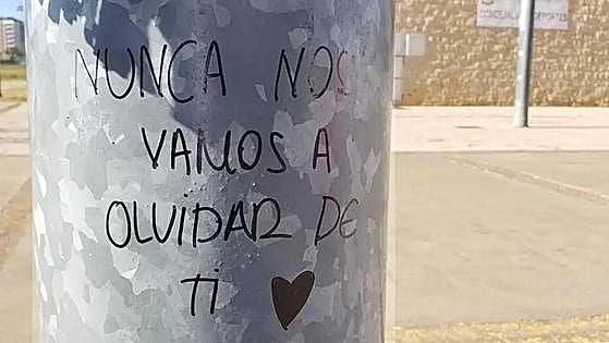 El acusado de asesinar al joven cántabro en La Torre se enfrenta a 22 años de prisión