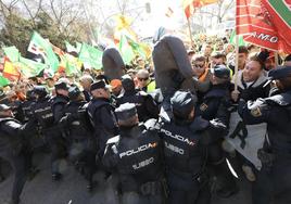 Momentos de tensión este lunes en la manifestación de los agricultores en Madrid.