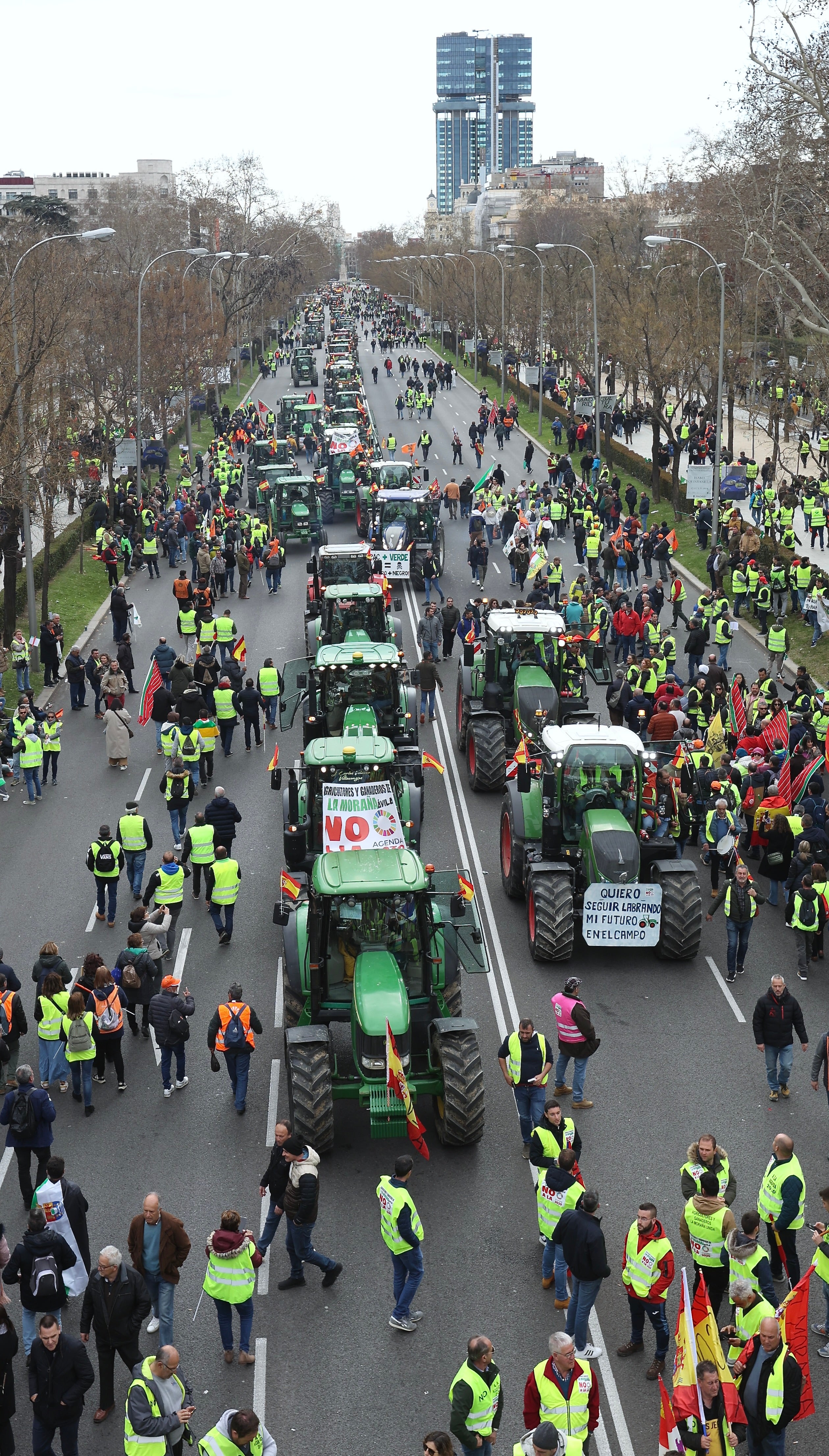 Así han tomado Madrid los agricultores españoles