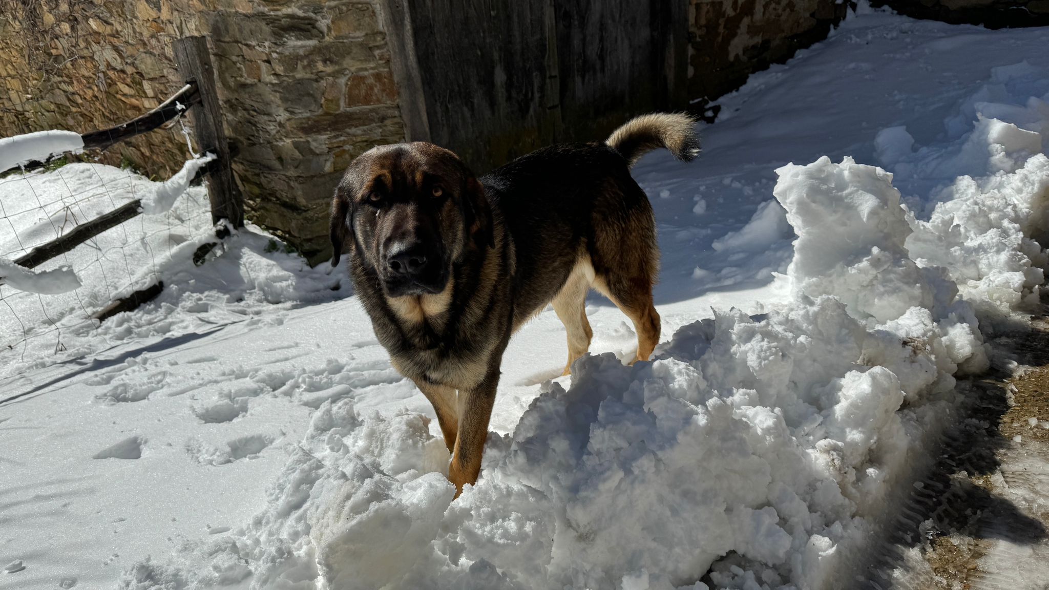 Llega la nieve a la localidad de Andarraso.