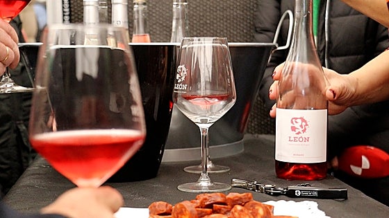 DO León hace gala de una añada de vinos de excelente calidad