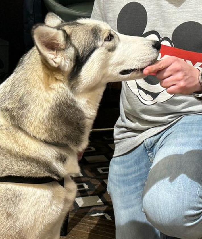 Imagen secundaria 2 - La nueva taberna leonesa en la que los perros también tienen tapa