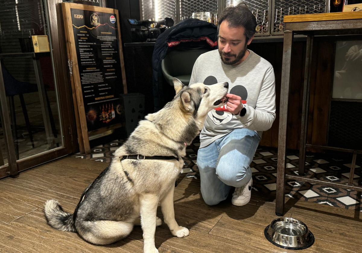 Uno de los perros que acuden a la taberna reciben su correspondiente tapa.