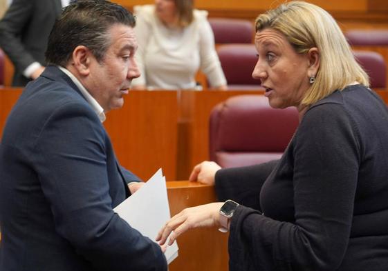 La consejera de Familia e Igualdad de Oportunidades, Isabel Blanco, conversa con el procurador de UPL, Mariano Santos, durante el Pleno de las Cortes de Castilla y León.