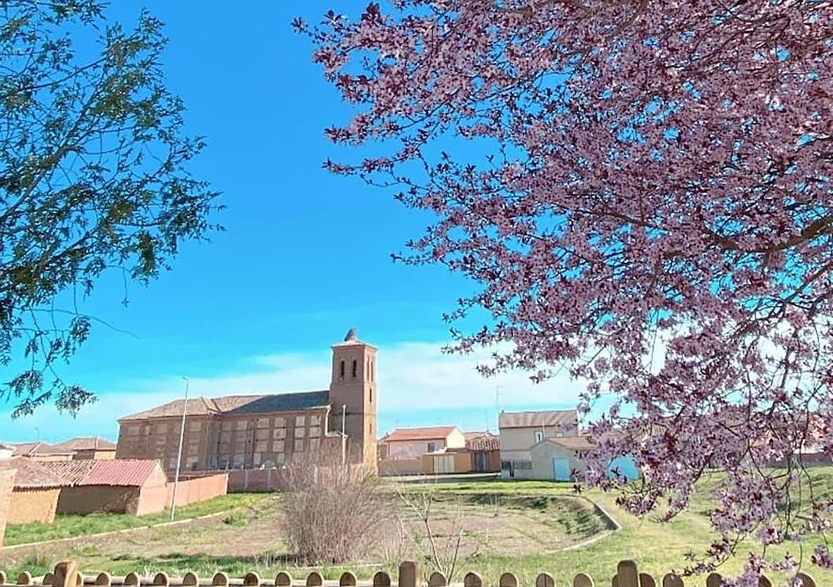Primavera en Bustillo de Cea.