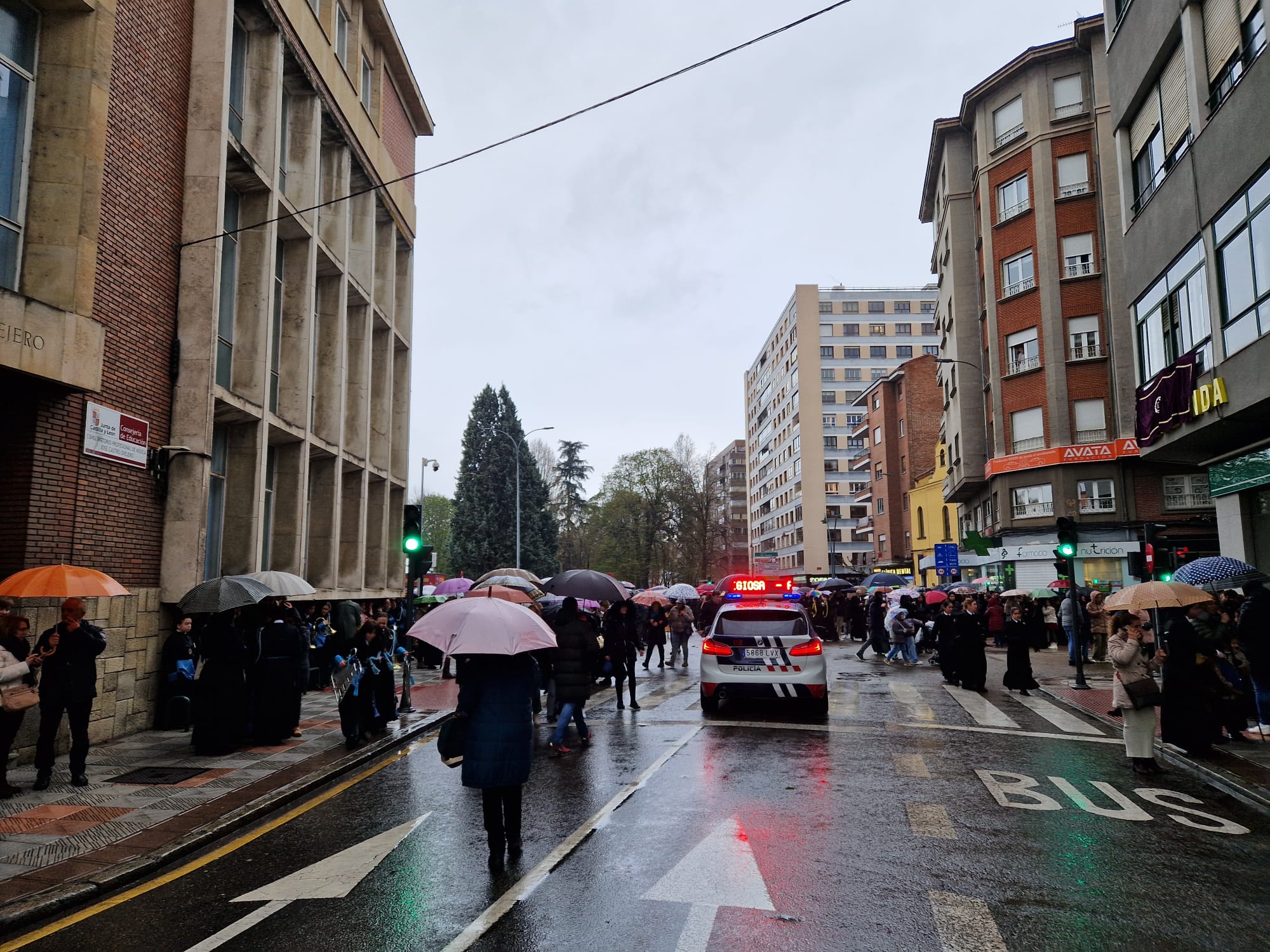 Solemne y Oficial Procesión del Santo Entierro