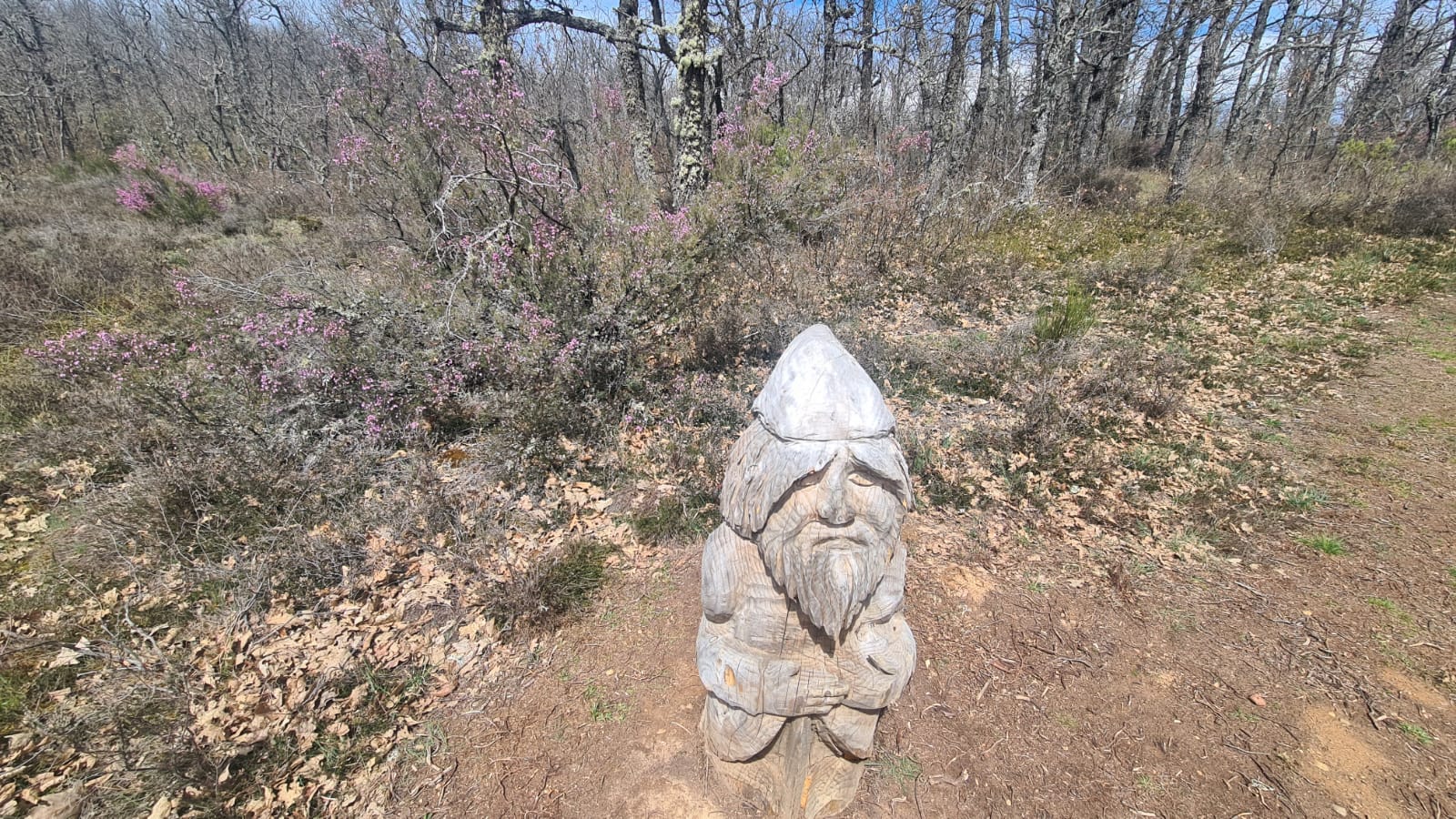 El jardín con enanitos de Almanza