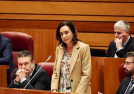 Alicia Gallego, en el pleno de las Cortes.