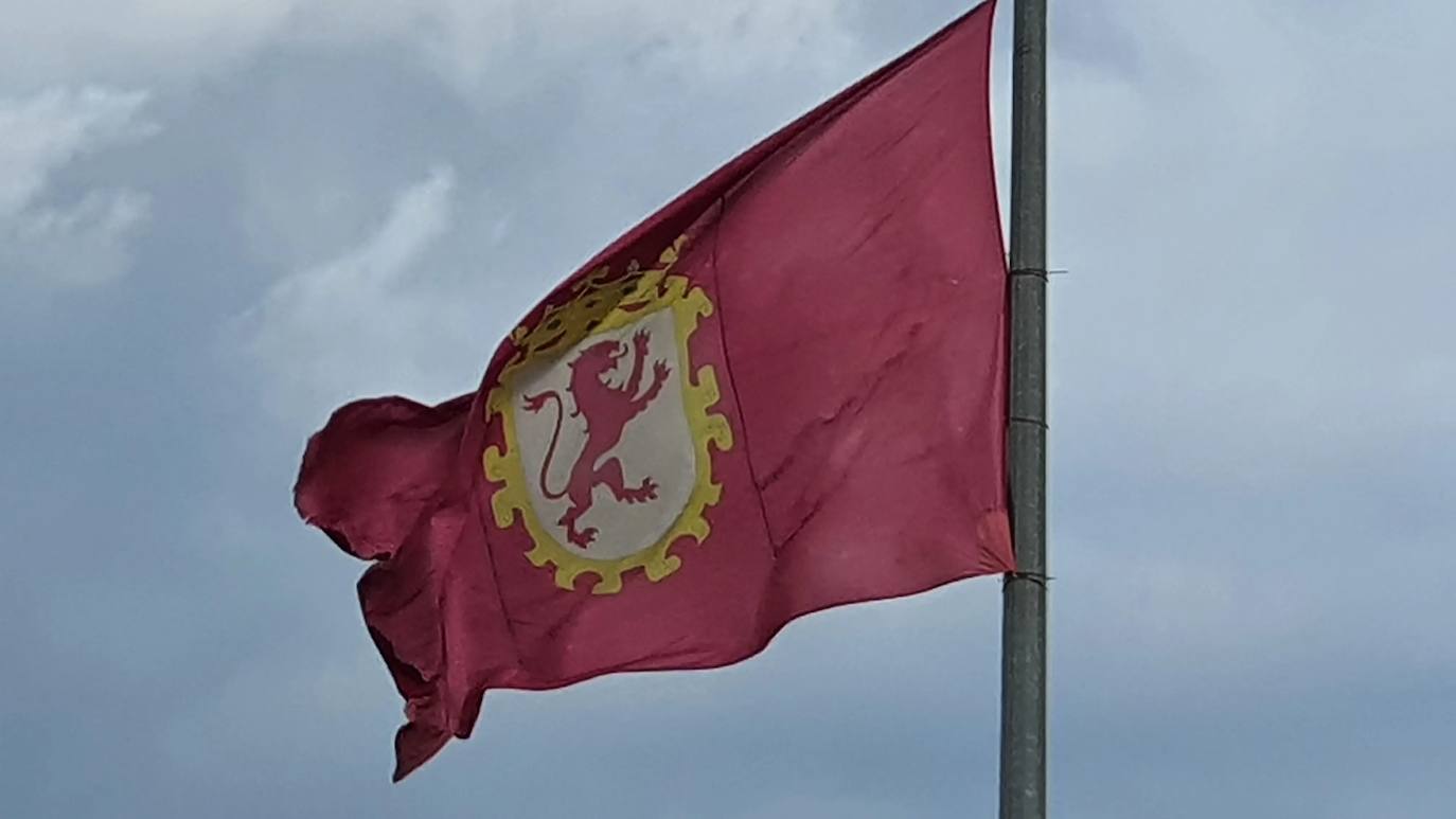 Bandera municipal de León.