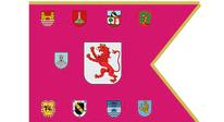 Bandera Provincial pre constitucional