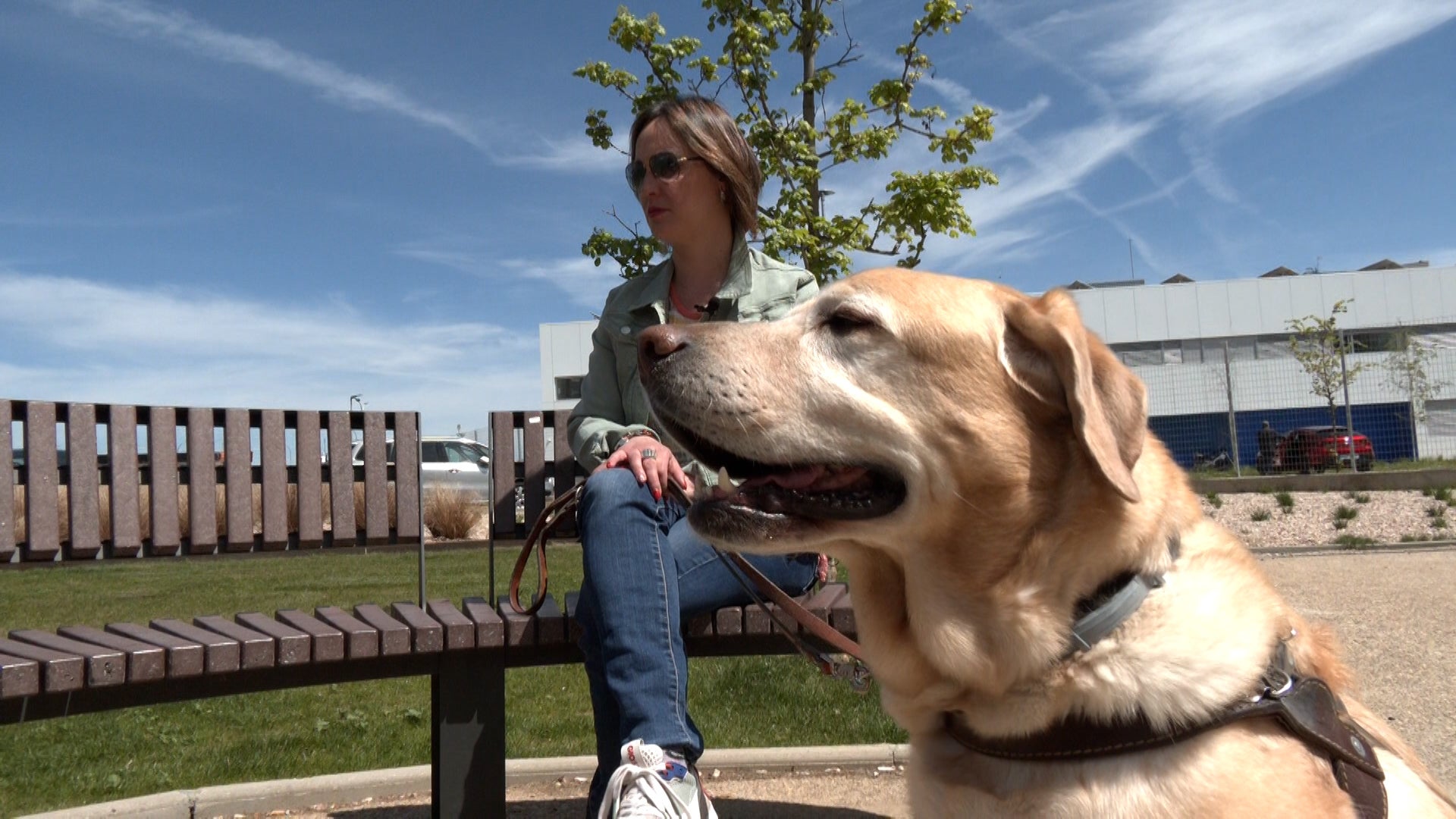 Arancha nos cuenta como es el proceso de tener un perro guía y su día a día