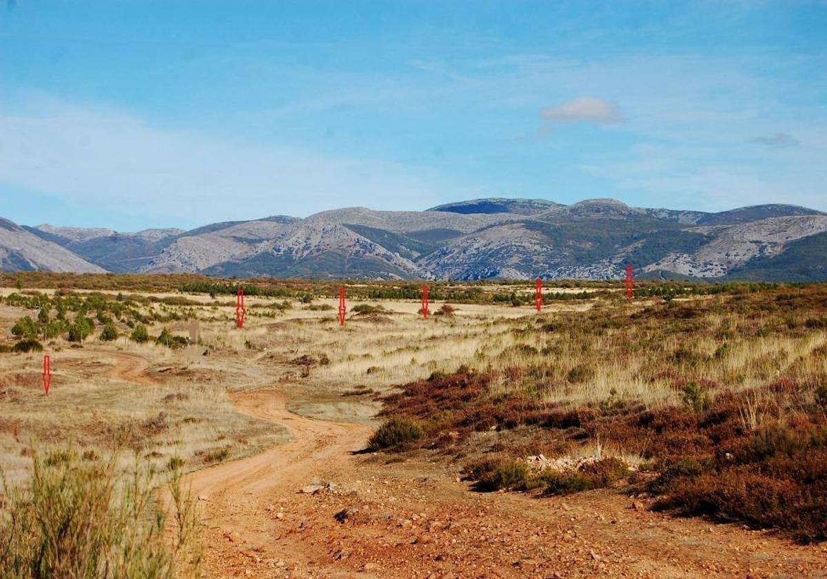 Imagen principal - Los pozos, cubiertos de maleza.