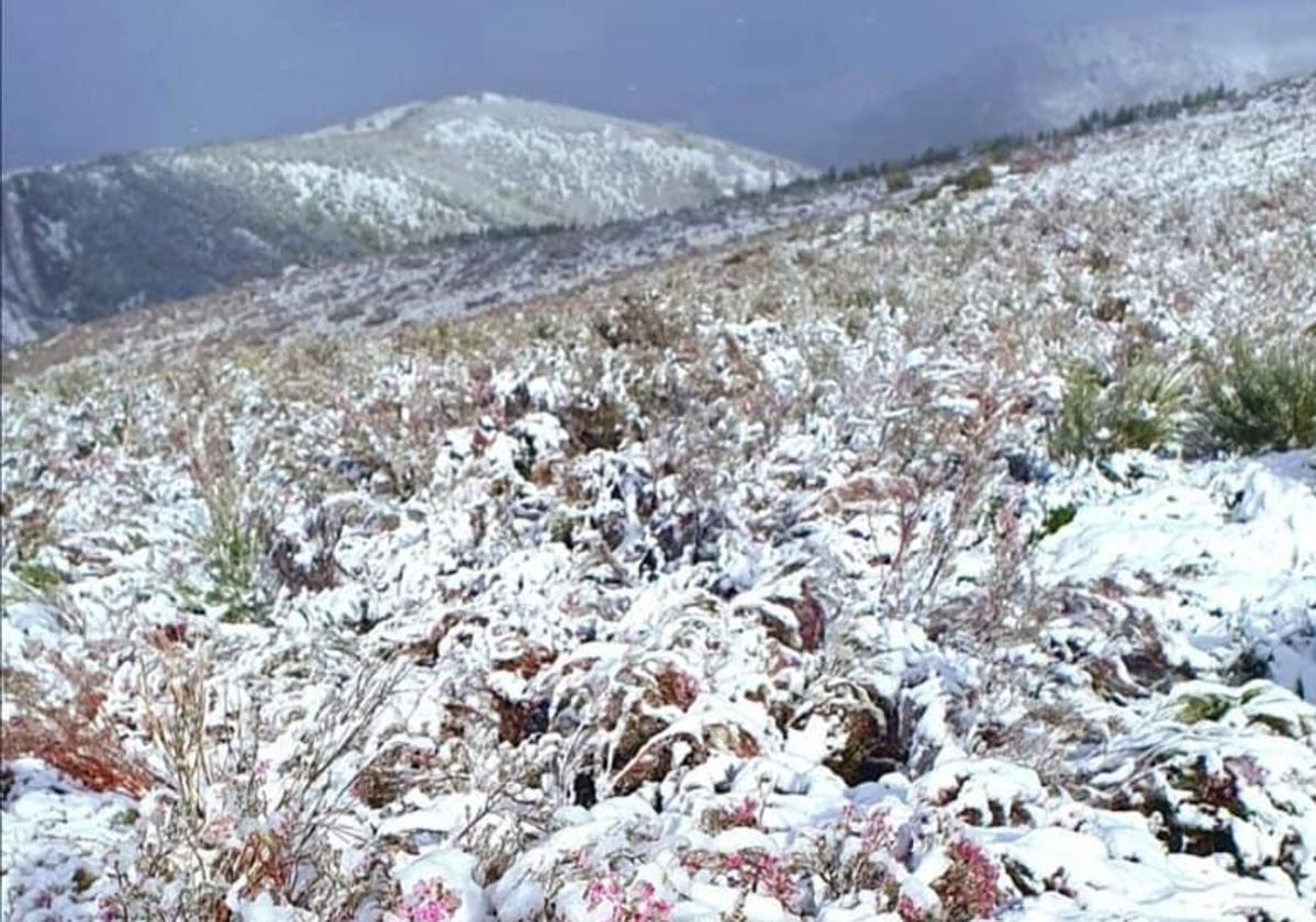 Algo de nieve caida el sábado en Omaña.