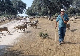 El pastor trashumante José Manuel Sánchez, en su viaje de 2023.