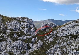 Vídeo de la intervención realizada en la Sierra de la Serrona.