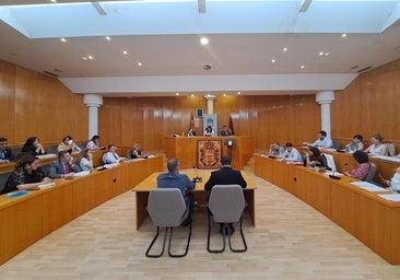 «Tirón de orejas» a la alcaldesa de San Andrés tras su viaje a Granada