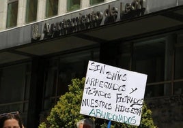 Protesta del AMPA del CEIP La Palomera frente al Ayuntamiento de León el pasado jueves.