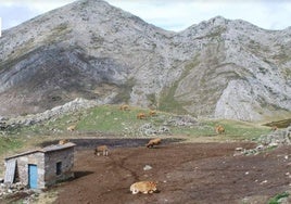 Majada de Covalanchu, en Fuentes del Sil.