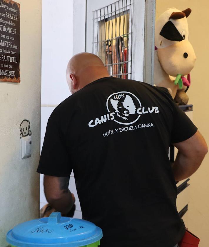 Imagen secundaria 2 - Distntas fases de adiestramiento de Pedro Teixeira -Canis Club León- y Sara Rueda -Centro Canino El Carajal.