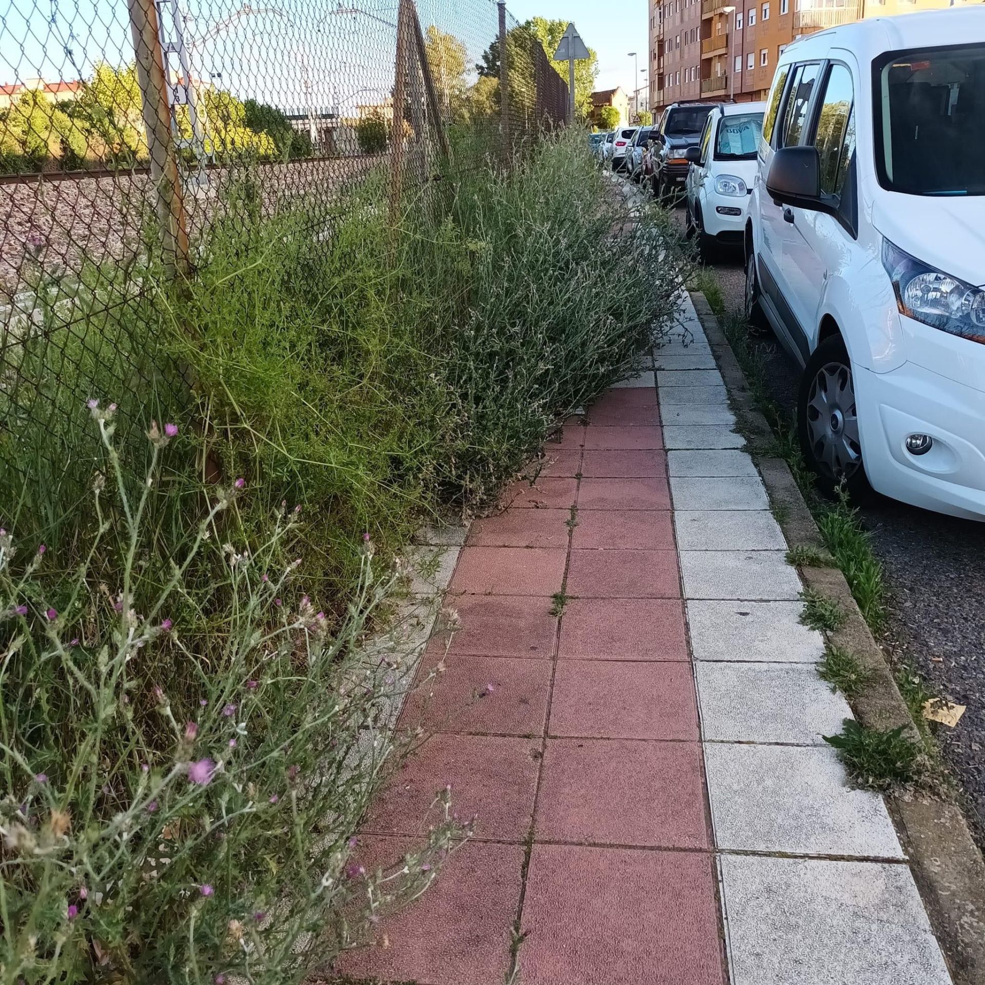 Estado de las calles de San Andrés del Rabanedo