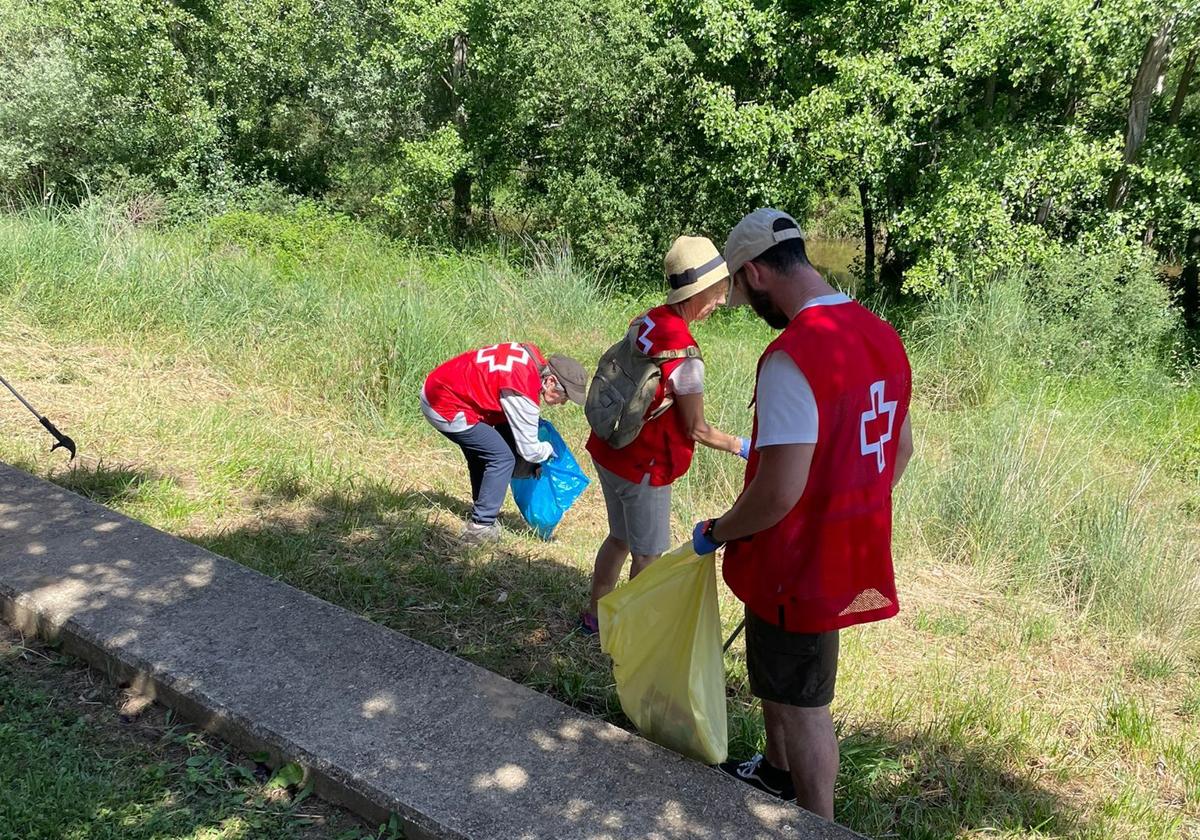 Una de las recogidas de basura en León.