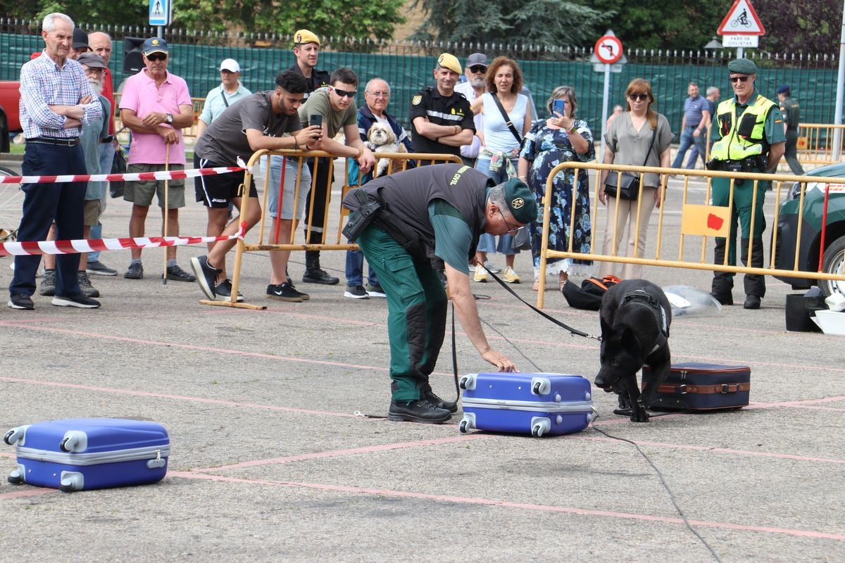 Las Fuerzas Armadas se exhiben en León