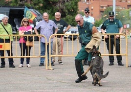 La Guardia Civil realizó un ejercicio con perros adiestrados