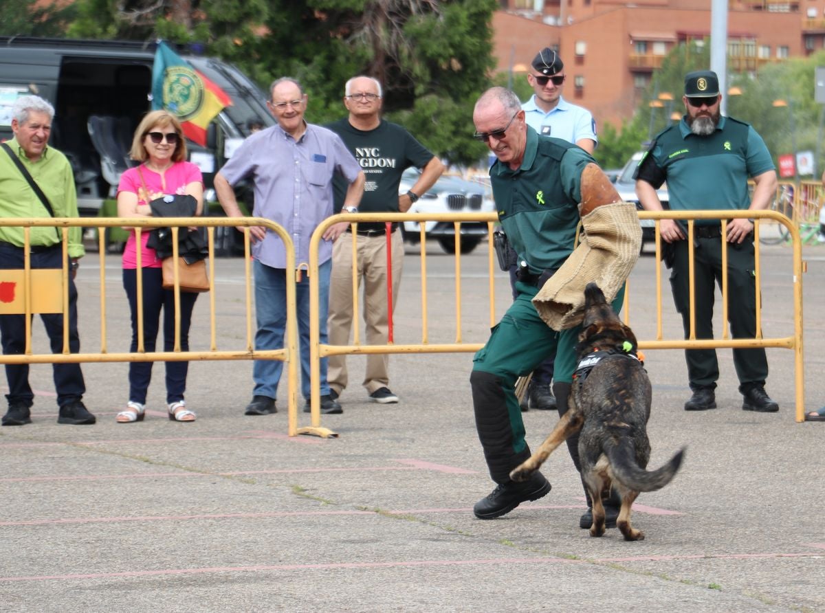 Las Fuerzas Armadas se exhiben en León