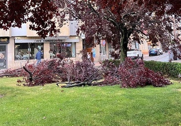 Caída de objetos e inundaciones: los efectos de la tormenta en León