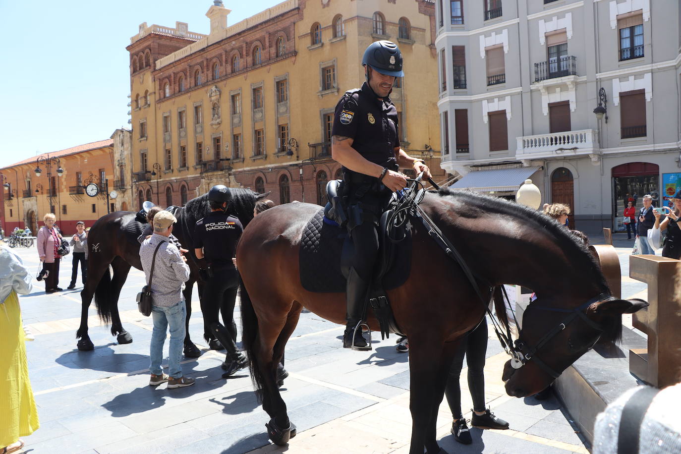 Los caballos de la Policía Nacional se pasean por León