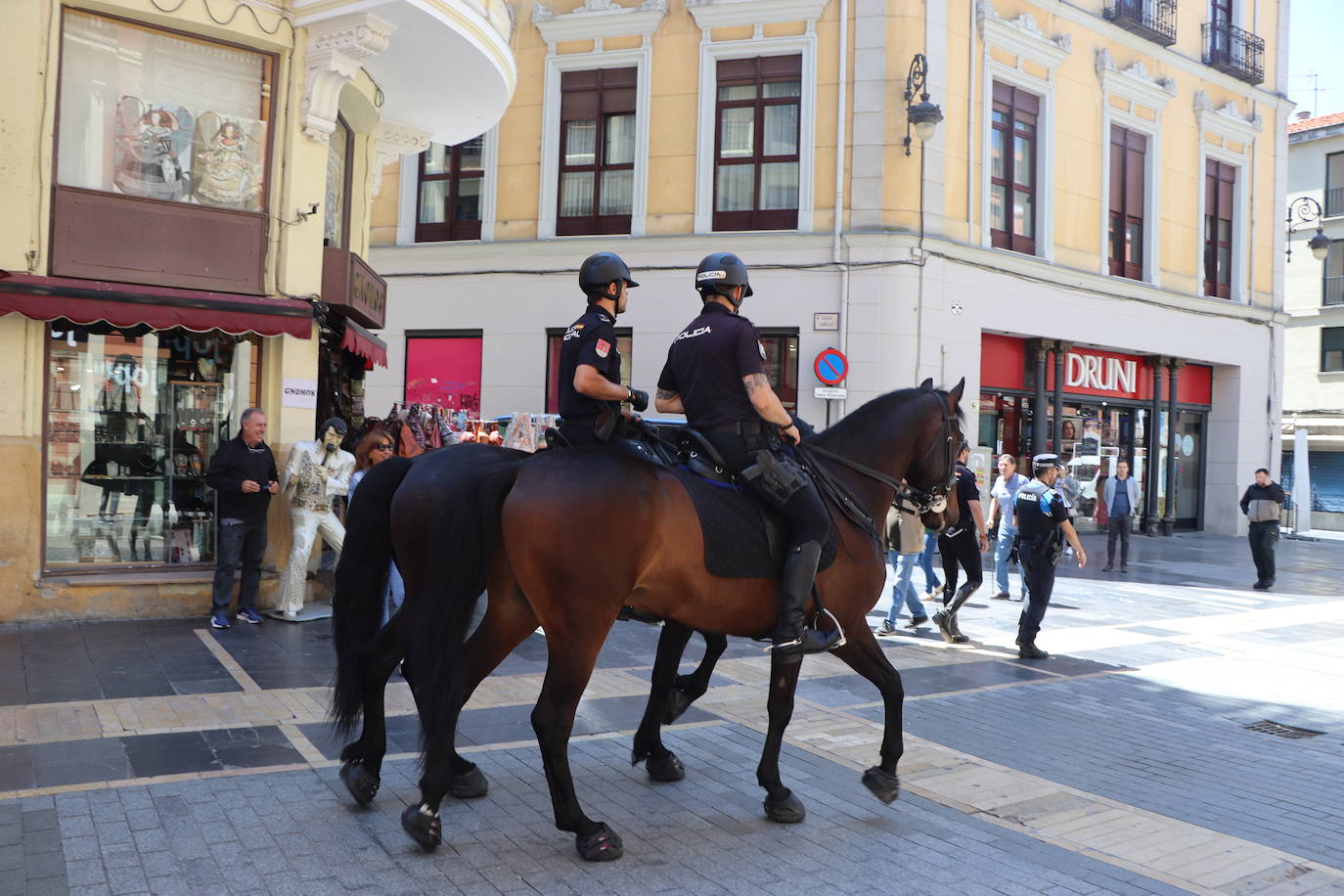 Los caballos de la Policía Nacional se pasean por León