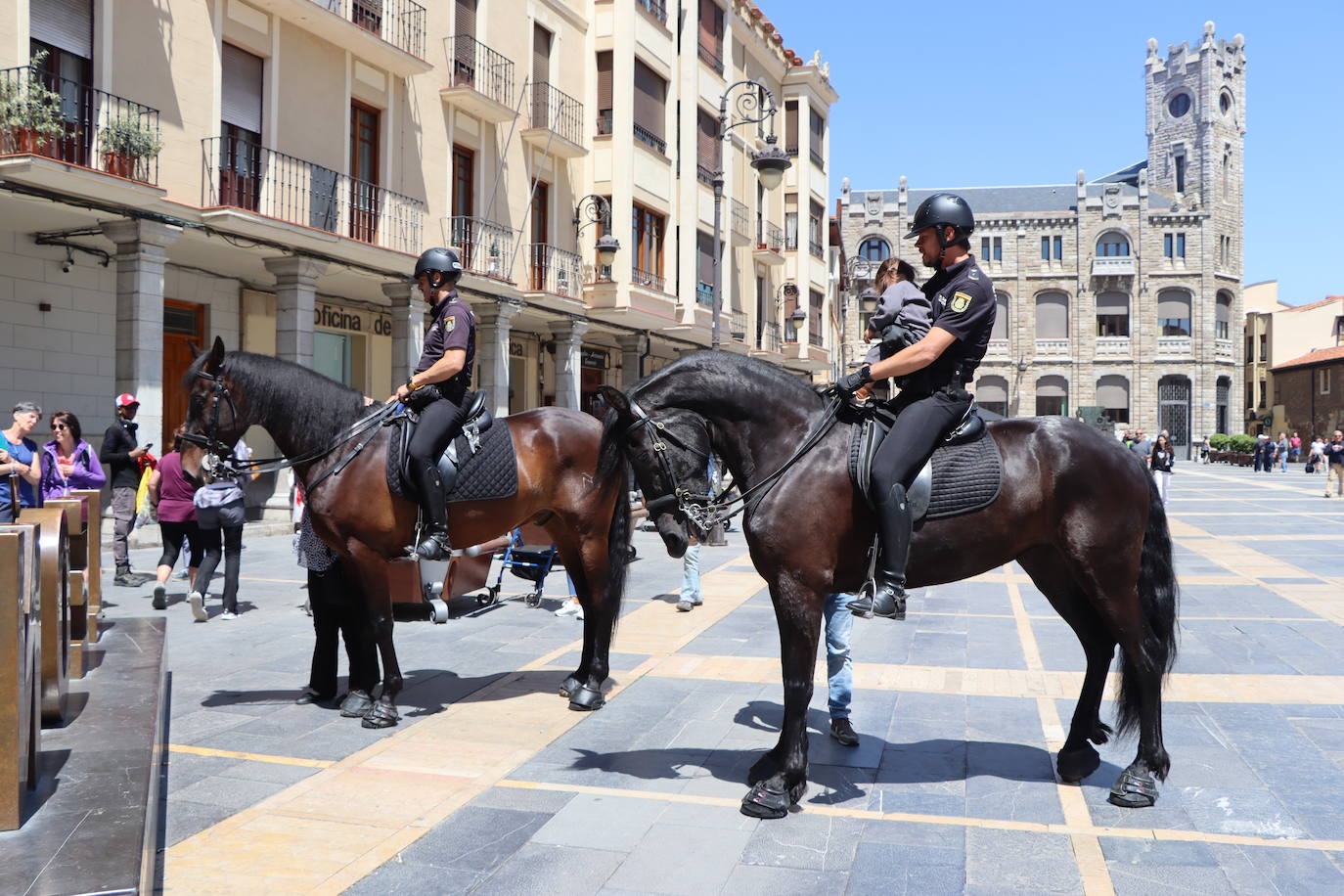 Los caballos de la Policía Nacional se pasean por León