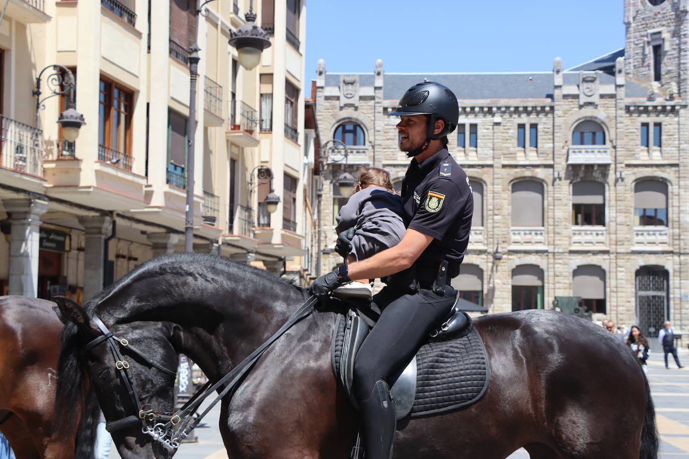 Los caballos de la Policía Nacional se pasean por León