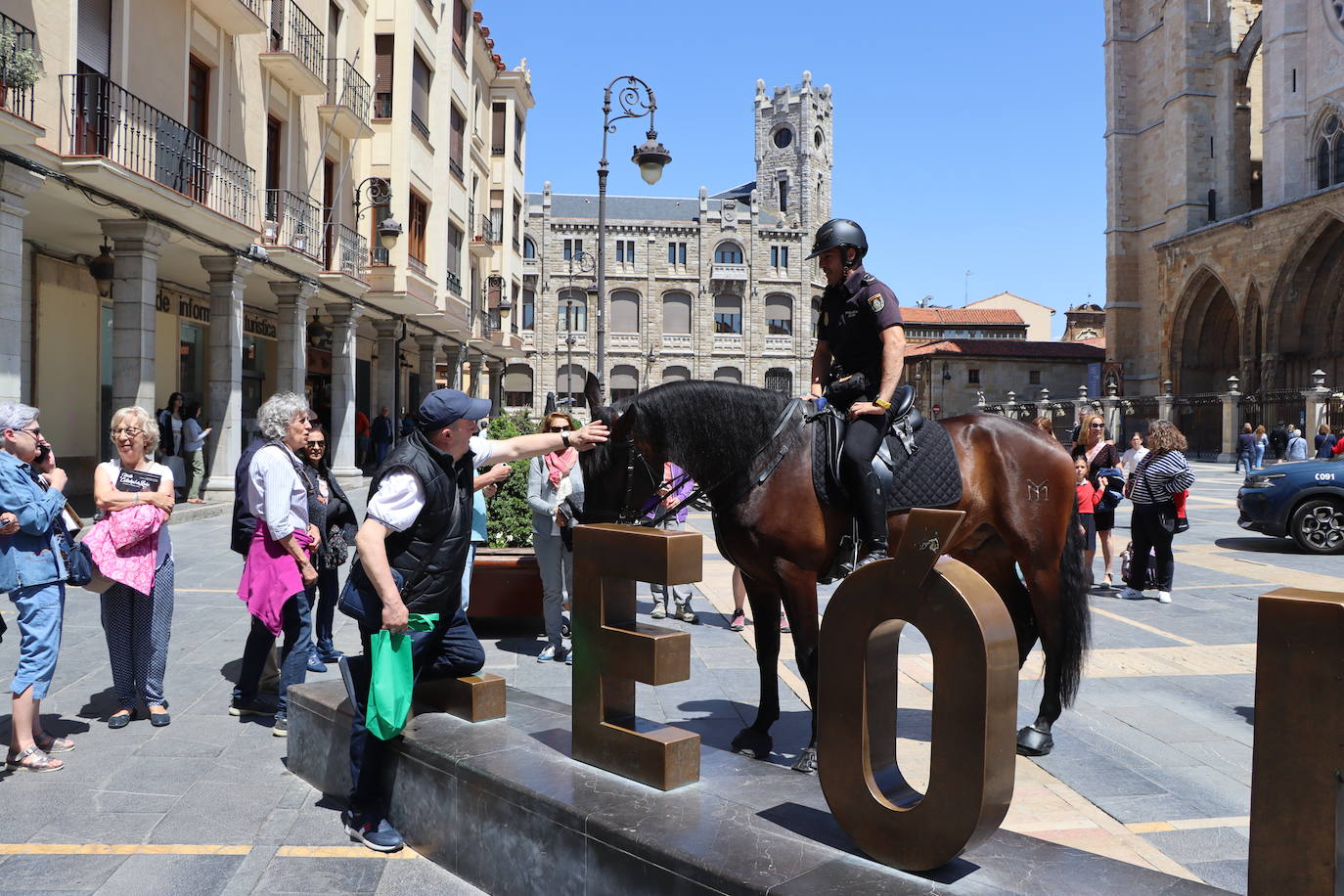 Los caballos de la Policía Nacional se pasean por León