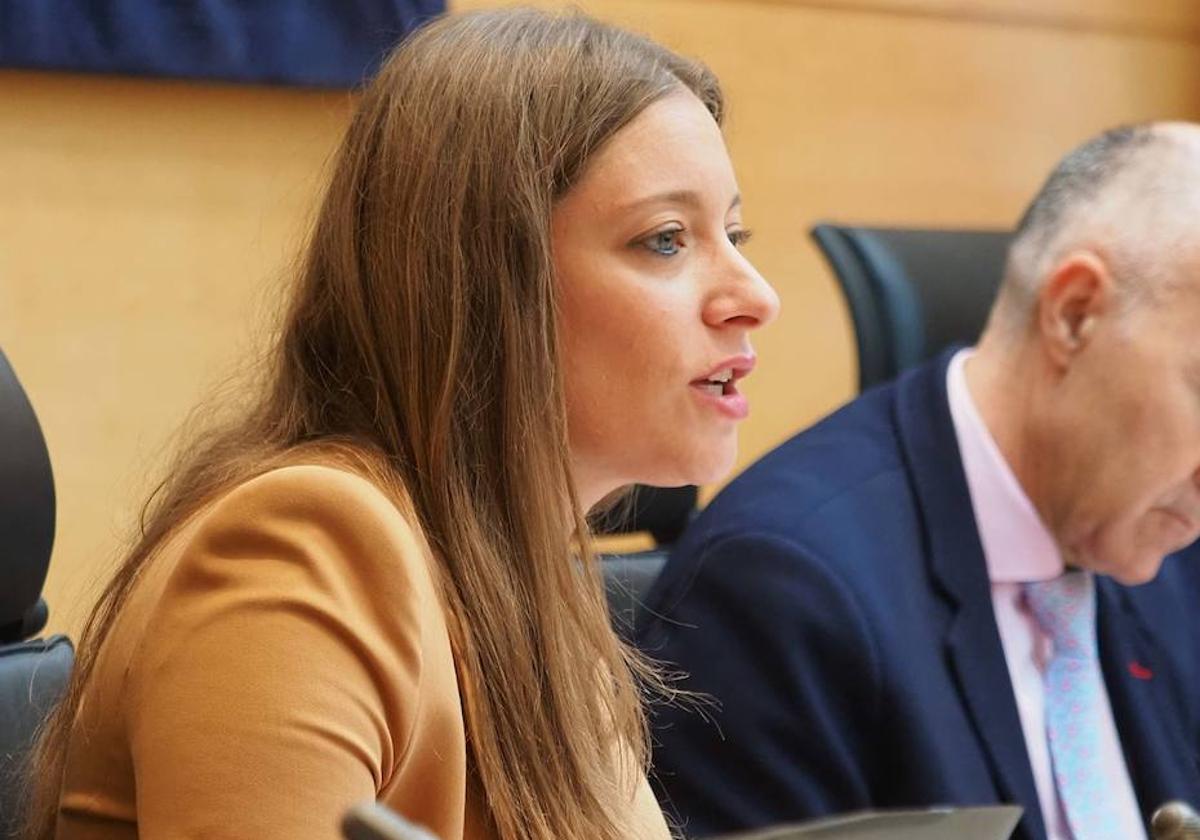 Ester Muñoz culpa a la ministra de Sanidad de la «emergencia sanitaria» de León