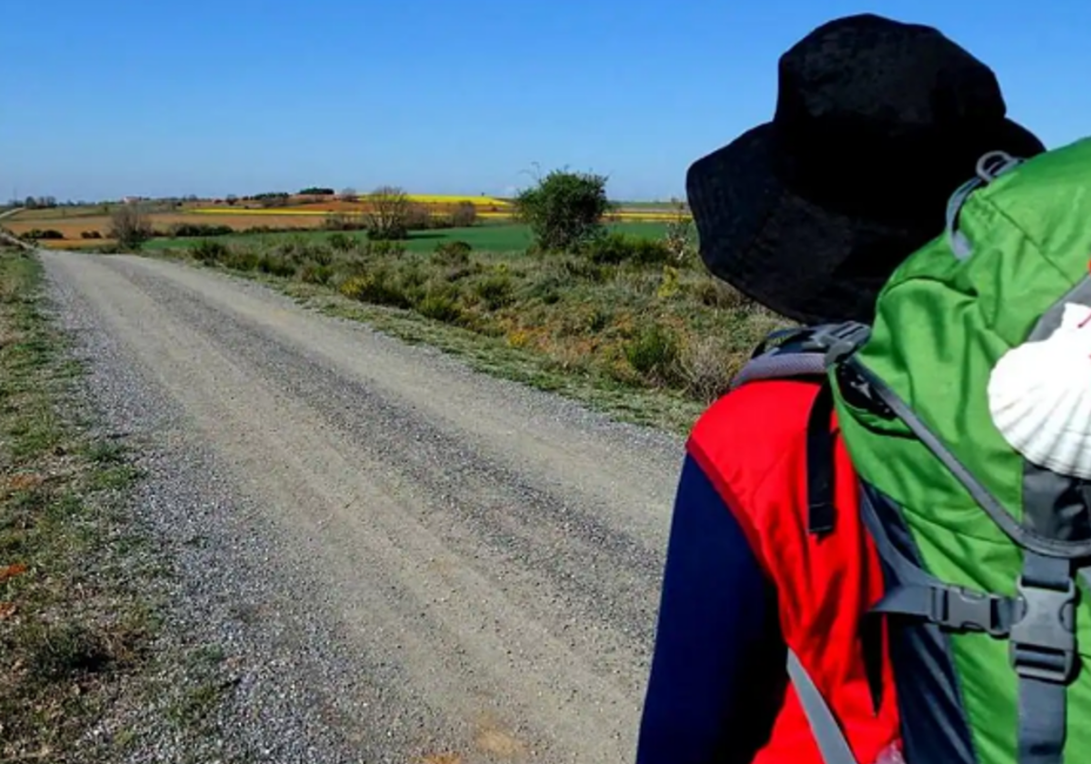 Imagen del Camino de Santiago.