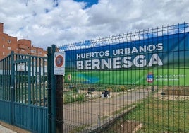 Imagen de los huertos urbanos actualmente.