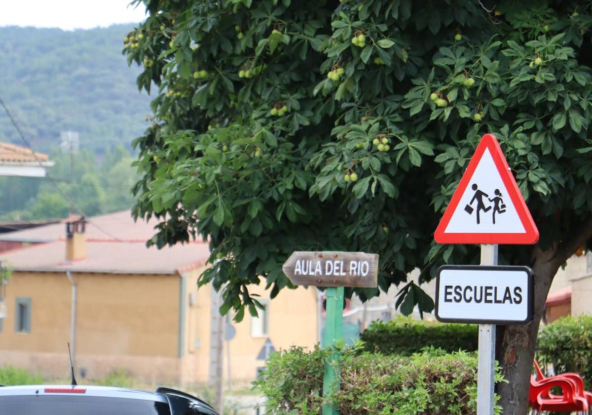 Mundo rural en León.