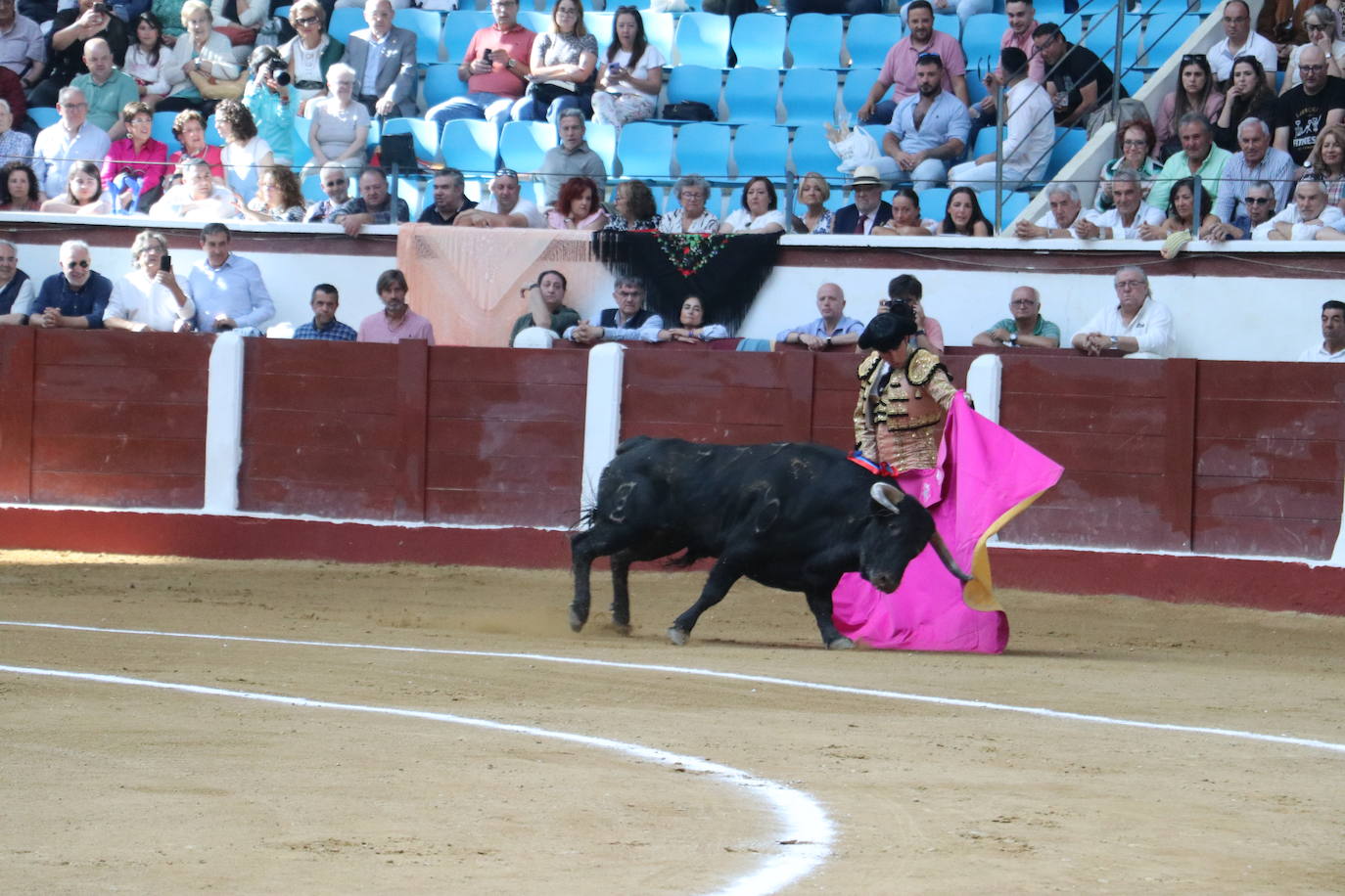 Las mejores imágenes de los toros