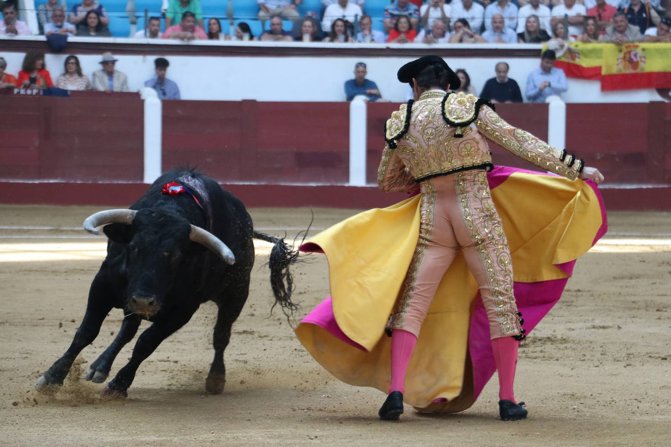 Las mejores imágenes de los toros