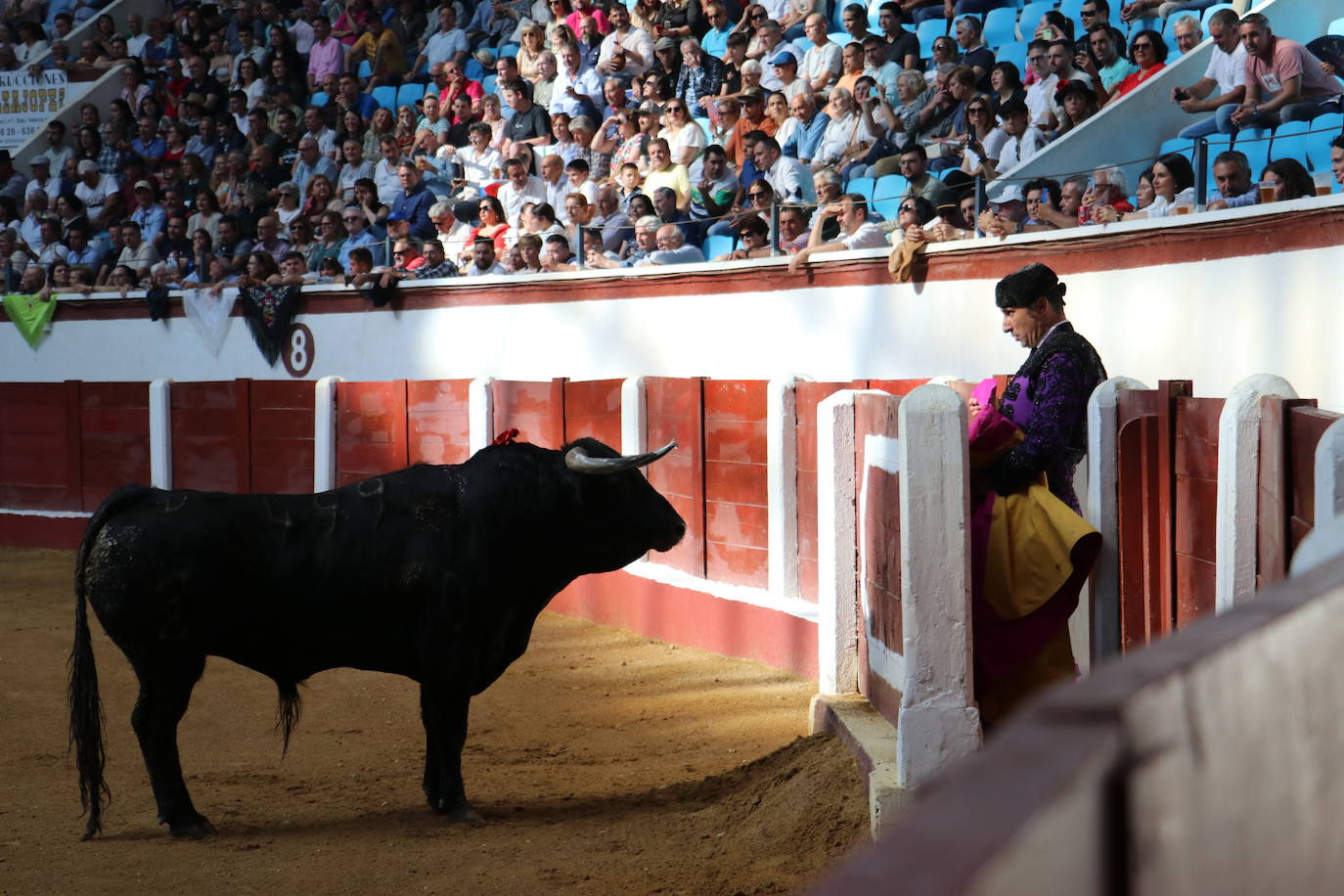 Las mejores imágenes de los toros