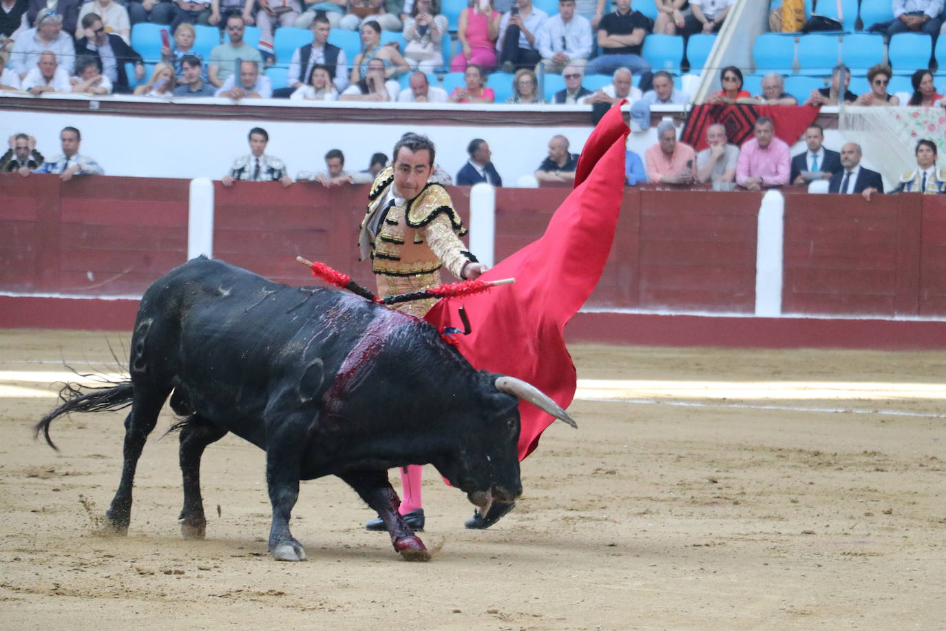 Las mejores imágenes de los toros