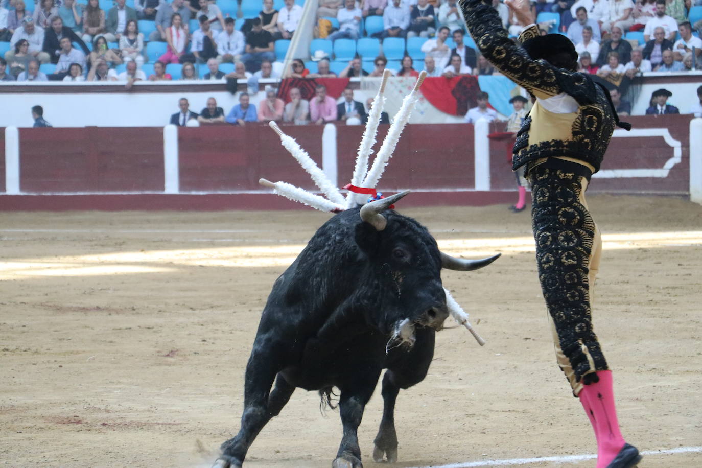 Las mejores imágenes de los toros