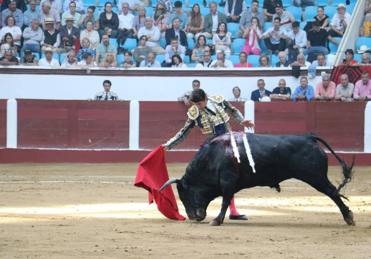 Las mejores imágenes de los toros | leonoticias.com