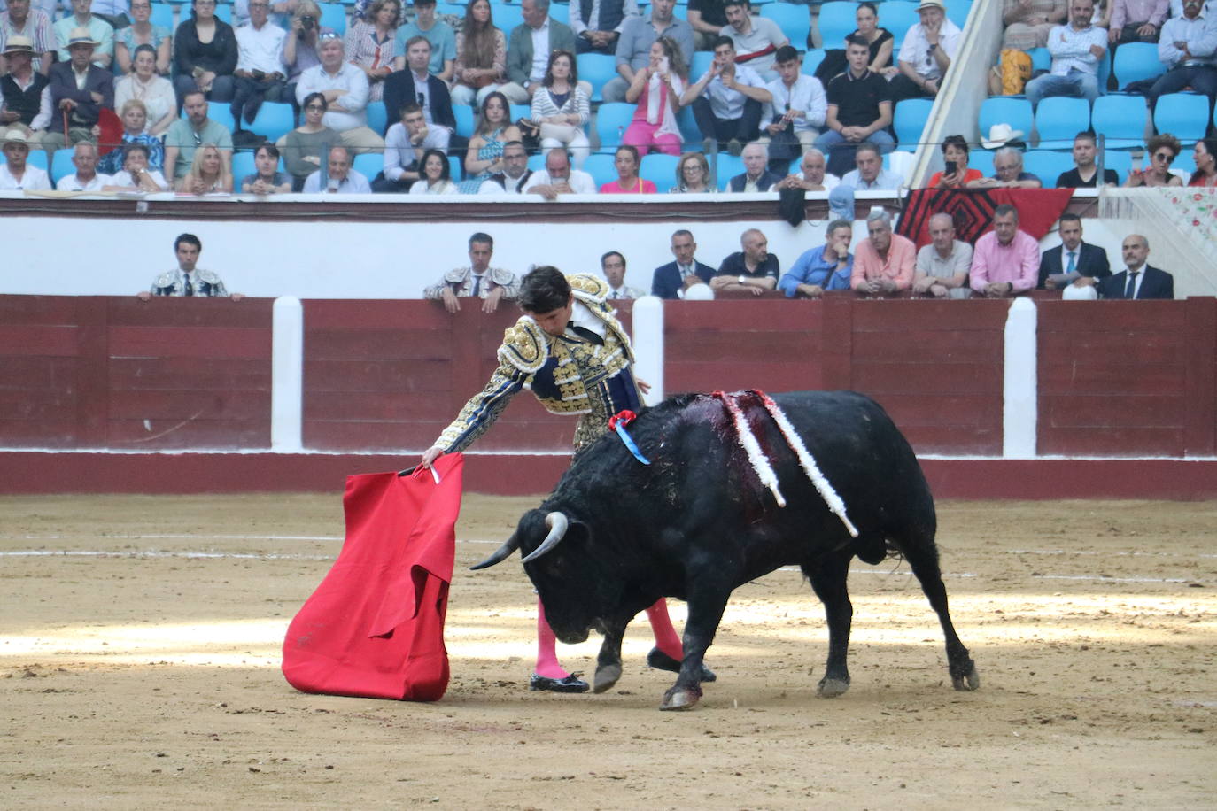 Las mejores imágenes de los toros