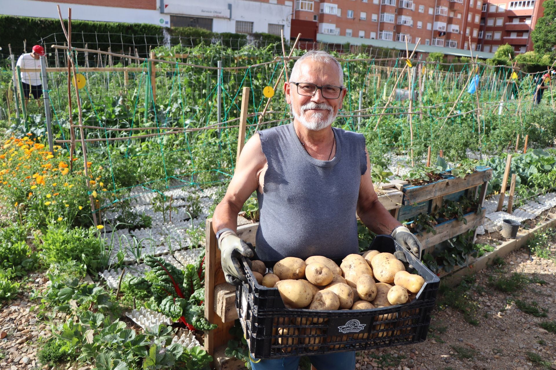 Visita a los huertos urbanos de San Andrés