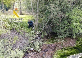 Un agente de la Guardia Civil durante el dispositivo de búsqueda.